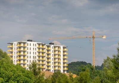 djemu-ann-18082448