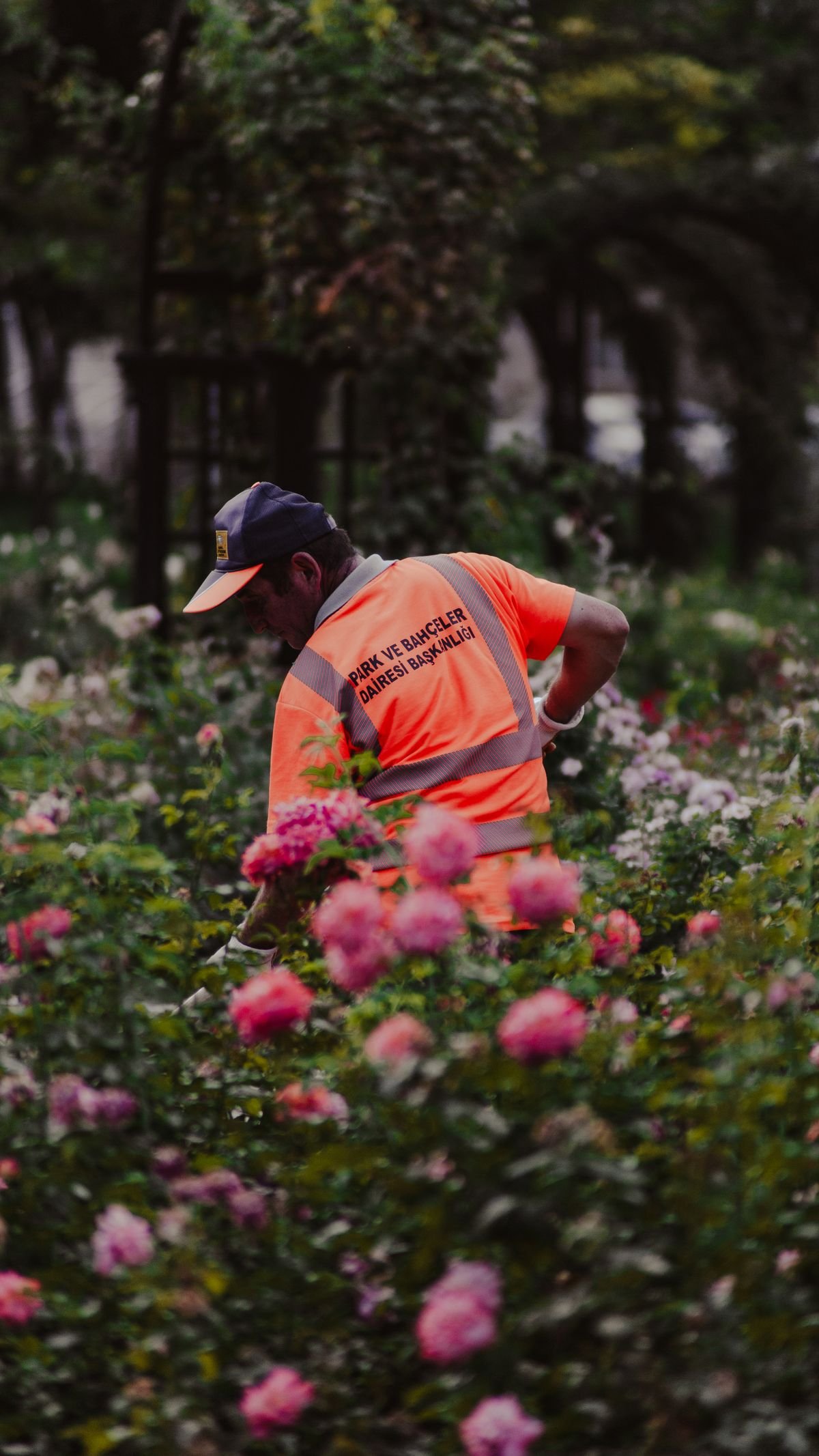 Jardinier homme a tout faire pour villa avec espaces
