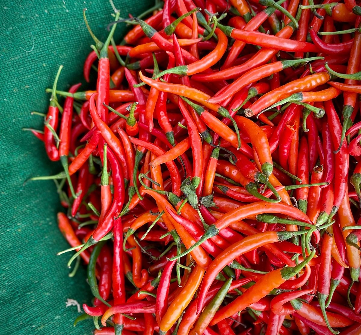 Piment frais antillais bien rouge, sac de 5 kg