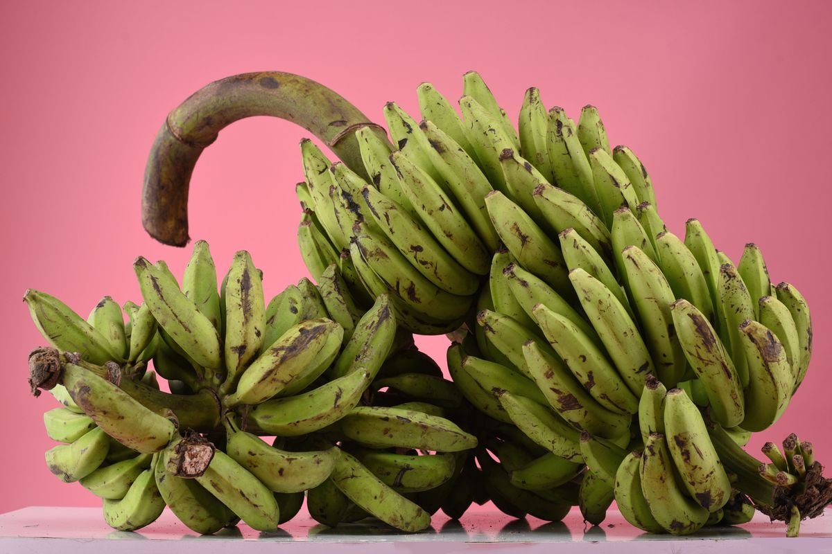 Banane plantain mûre régime de 25 kg, prix grossiste