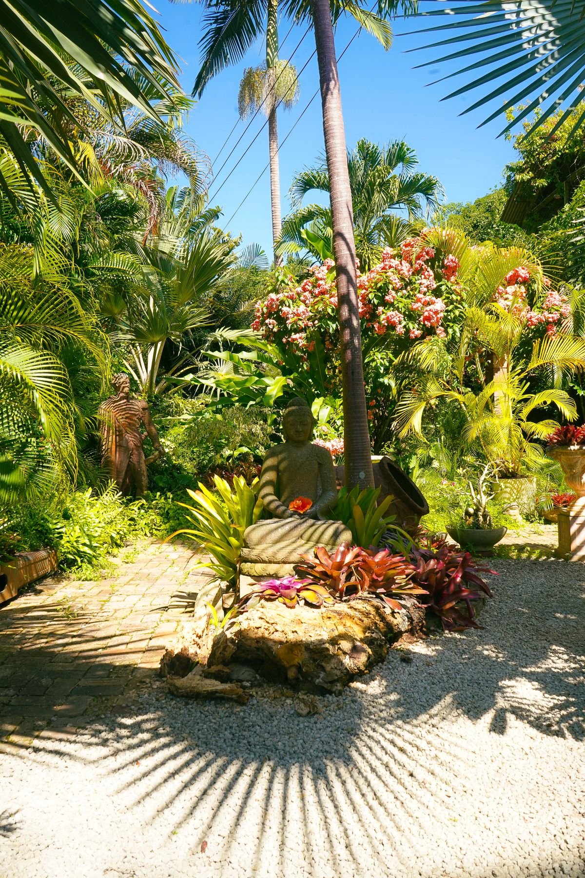 Maison d’hôtes 4 chambres, calme avec jardin tropical/nuit