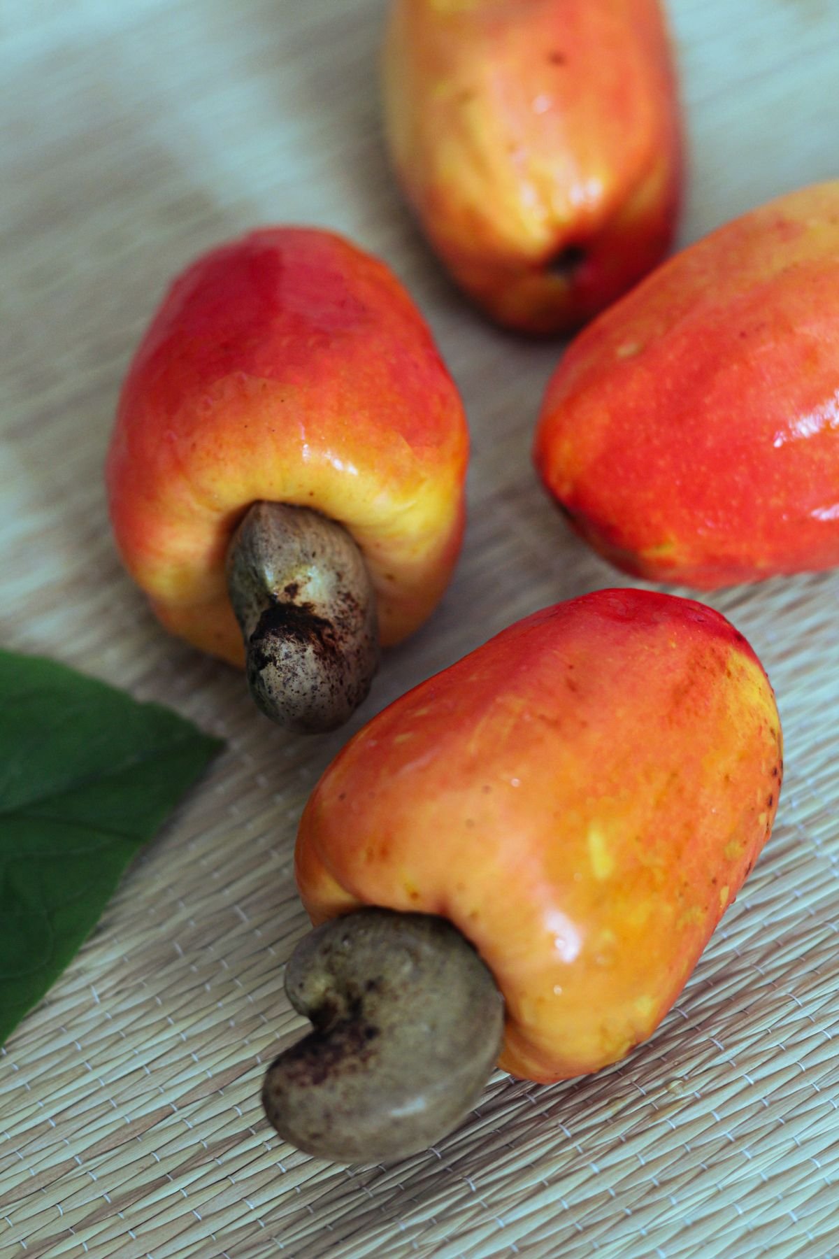 Pomme de cajou fraîche pour jus, panier de 20 kg