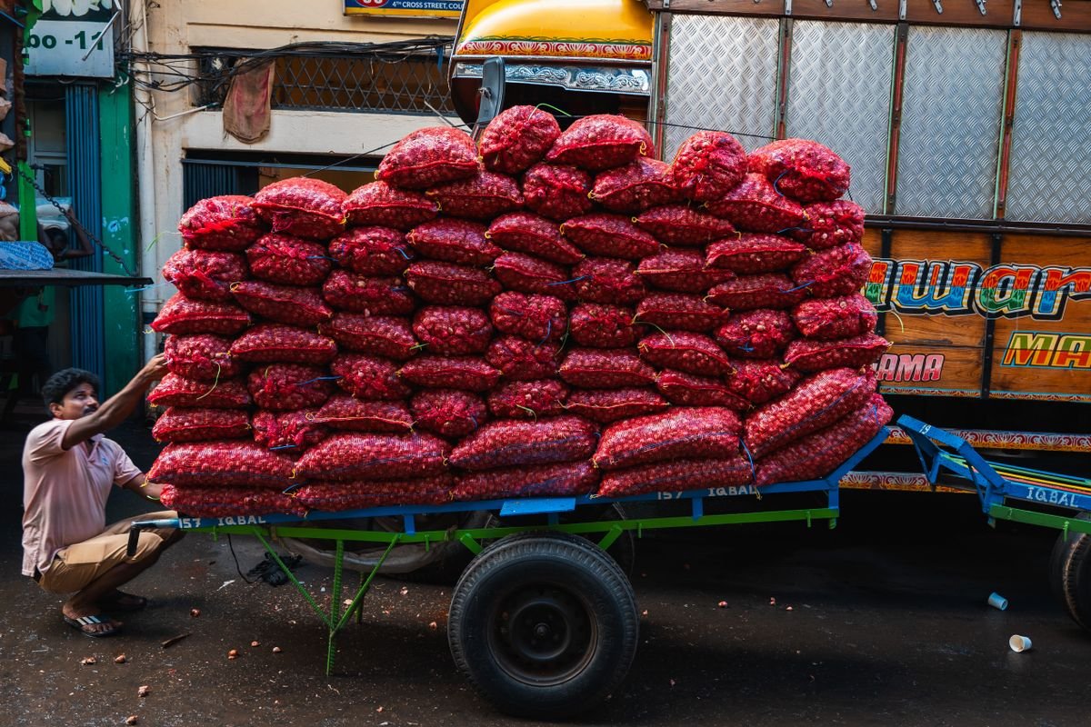 Oignon violet de Galmi, filet de 25 kg bonne conservation