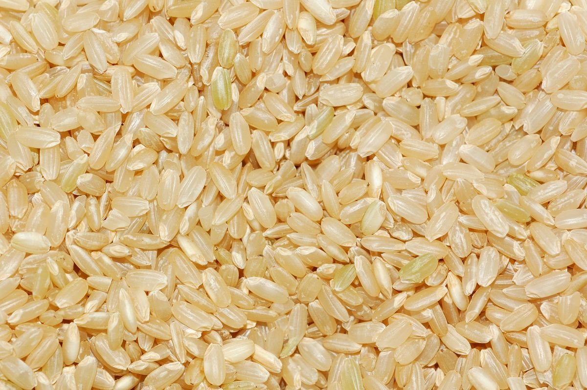 Riz brun complet bio non poli, sac de 10 kg
