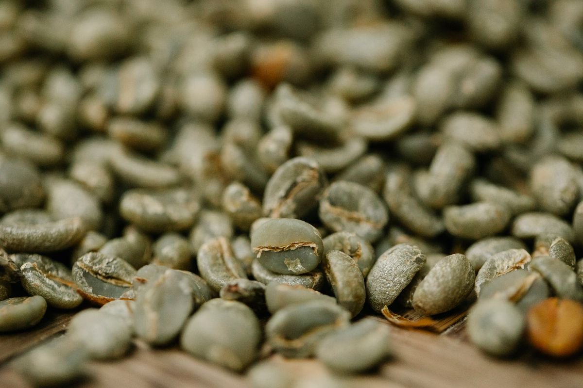 Café Robusta vert en grains, récolte 2026, sac de 60 kg