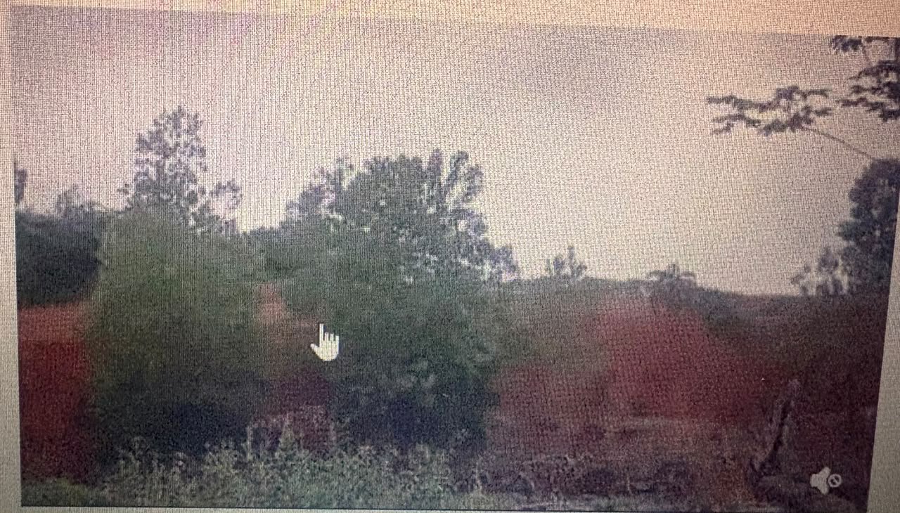 300 HECTARE A VENDRE